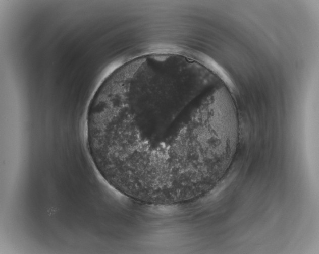 X0000111831095200908061150