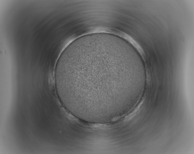 X0000111831097200908061150