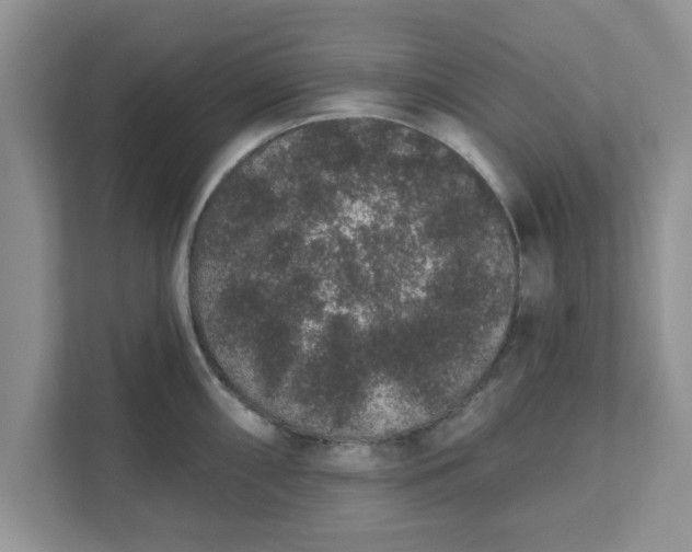 X0000111831098200908061150