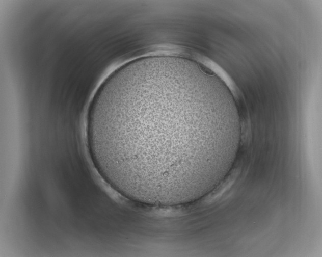 X0000111831099200908061150