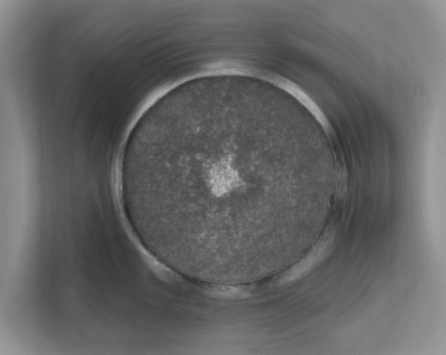 X0000111831101200908061150