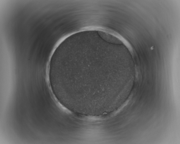 X0000111831102200908061150