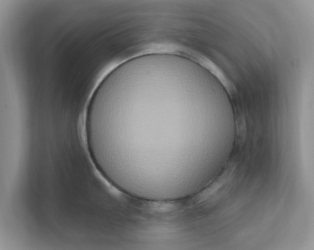 X0000111831103200908061150