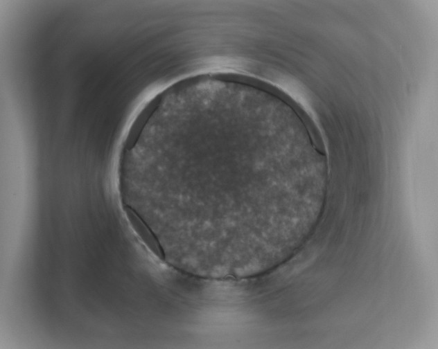 X0000111831104200908061150