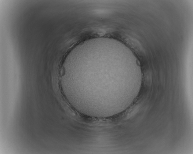 X0000111831105200908061150