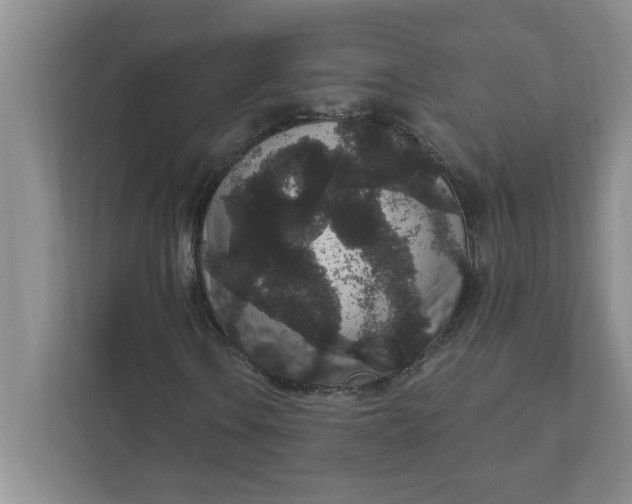 X0000111831106200908061150