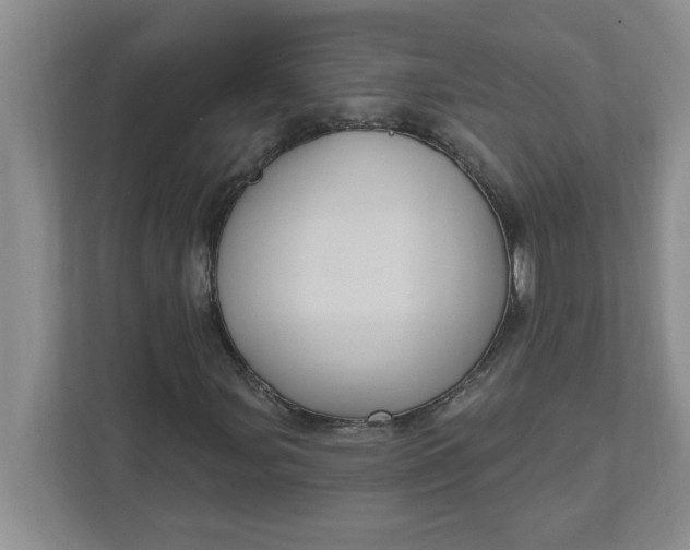 X0000111831107200908061150