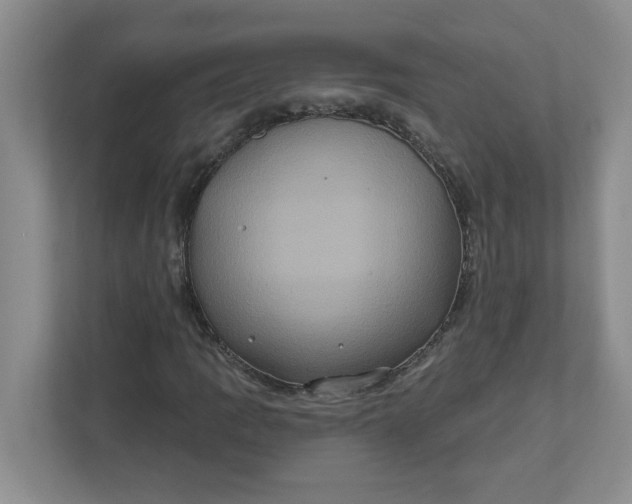 X0000111831109200908061150