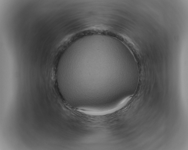 X0000111831110200908061150