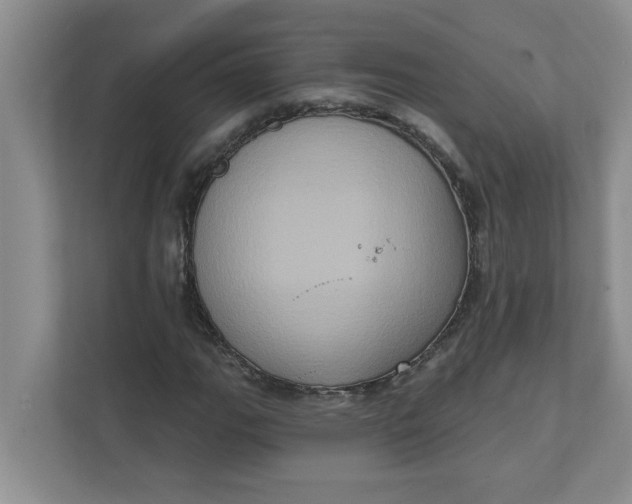 X0000111831111200908061150