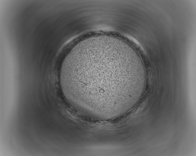 X0000111831112200908061150