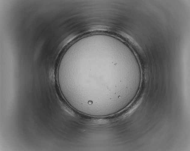 X0000111831113200908061150