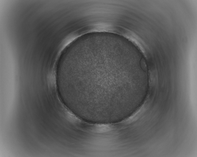 X0000111831114200908061150