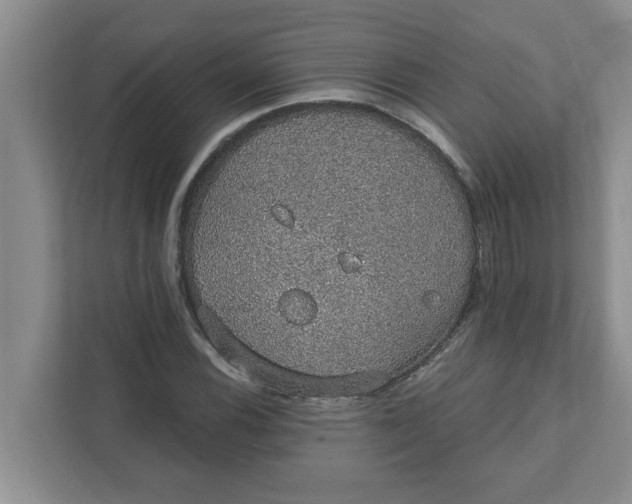 X0000111831116200908061150
