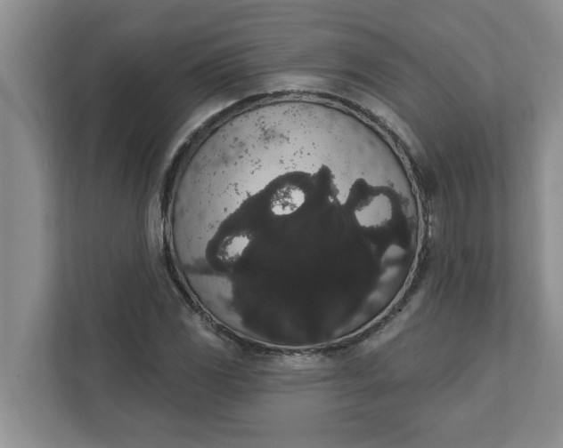 X0000111831117200908061150