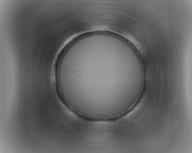 X0000111831118200908061150
