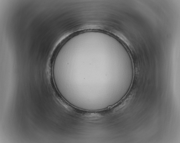 X0000111831119200908061150