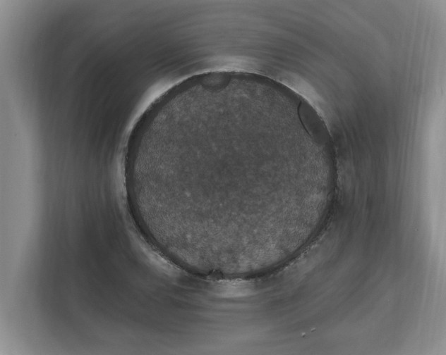 X0000111831120200908061150