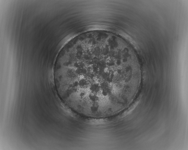 X0000111831121200908061150