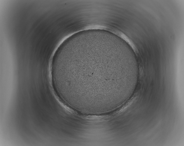 X0000111831124200908061150