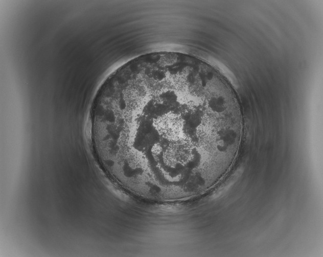 X0000111831125200908061150