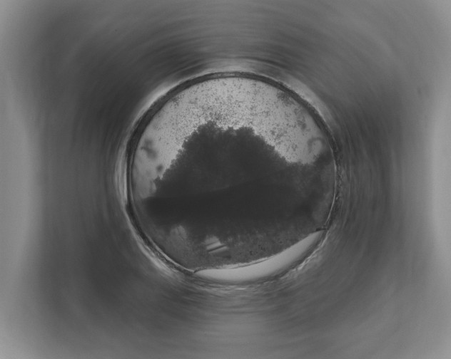 X0000111831127200908061150