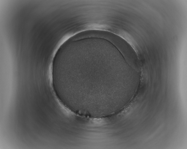 X0000111831128200908061150
