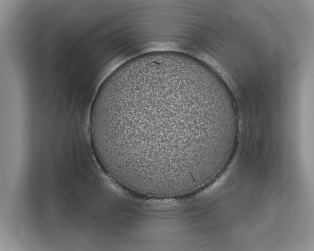 X0000111831129200908061150