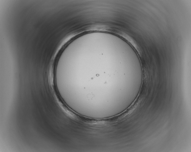 X0000111831131200908061150