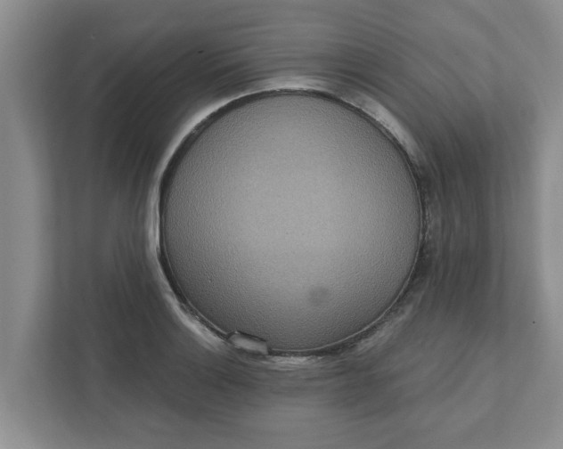 X0000111831132200908061150