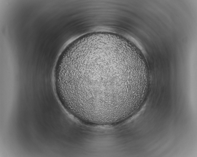 X0000111831133200908061150