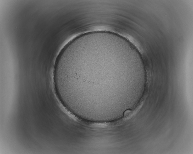 X0000111831134200908061150