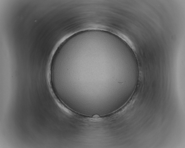 X0000111831136200908061150