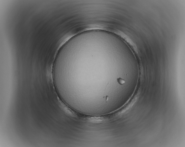 X0000111831137200908061150