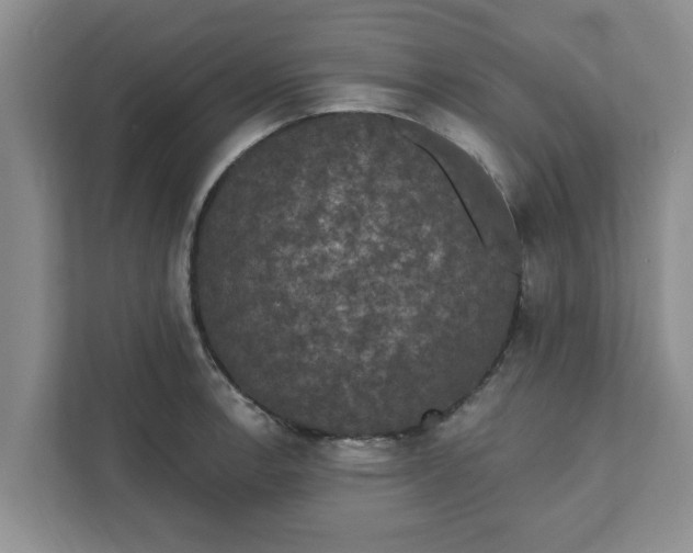 X0000111831138200908061150