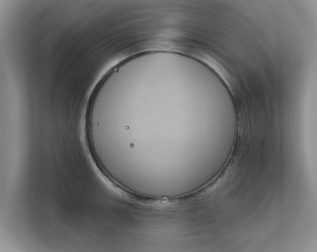 X0000111831139200908061150