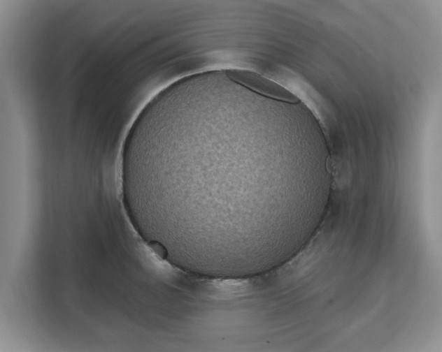 X0000111831140200908061150
