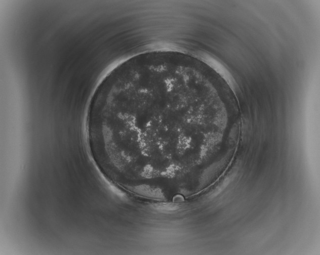 X0000111831141200908061150