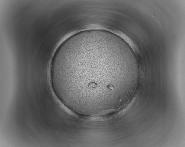 X0000111831142200908061150