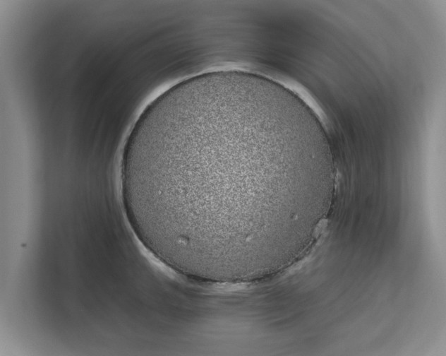 X0000111831143200908061150