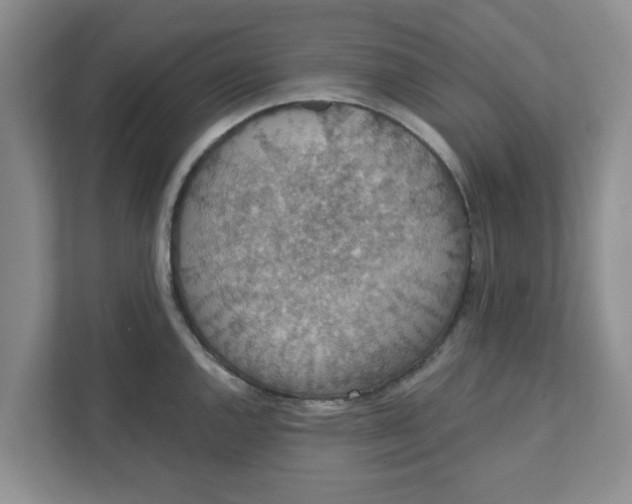 X0000111831144200908061150