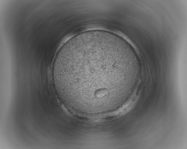 X0000111831145200908061150