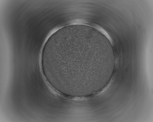 X0000111831146200908061150