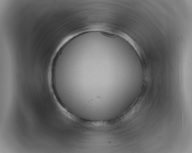 X0000111831147200908061150