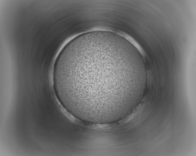 X0000111831148200908061150