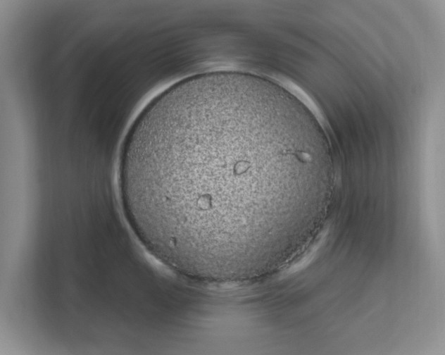X0000111831149200908061150
