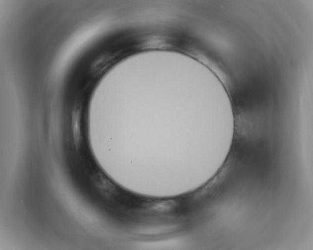 X0000111831150200908061150