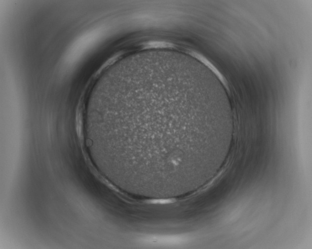 X0000111831151200908061150