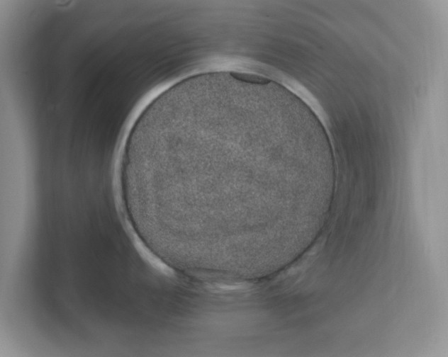 X0000111831152200908061150