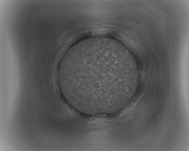 X0000111831153200908061150